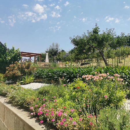 Quinta Do Retiro Guest House Felgar Ngoại thất bức ảnh
