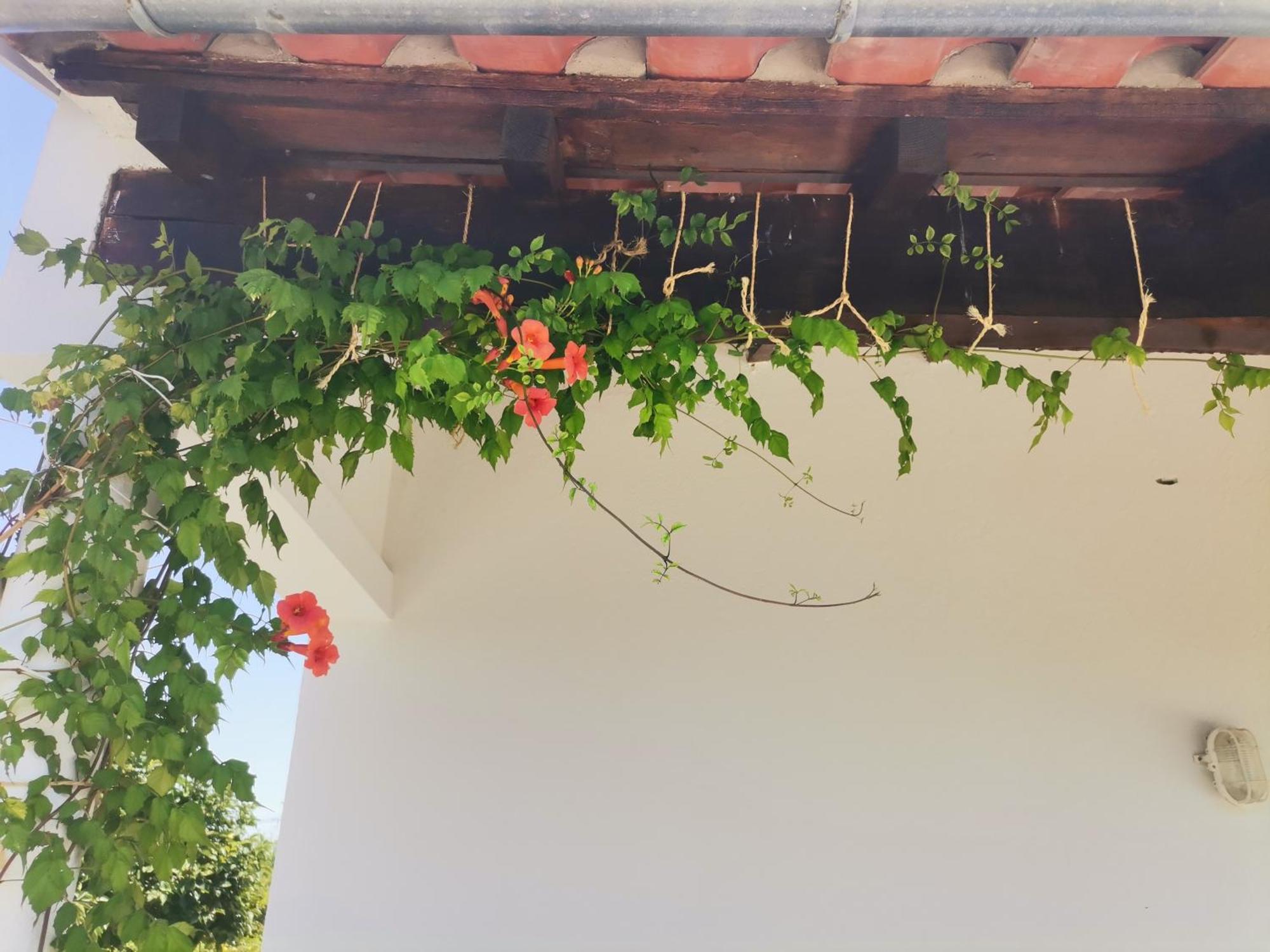 Quinta Do Retiro Guest House Felgar Ngoại thất bức ảnh